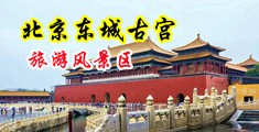啊啊啊爽干死我中国北京-东城古宫旅游风景区